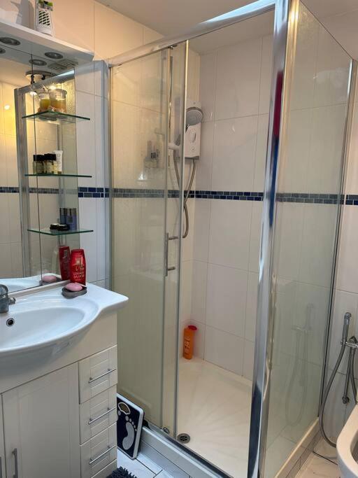 Amazing Gantshill Studio Annexe & Free Parking 레드브리지 외부 사진